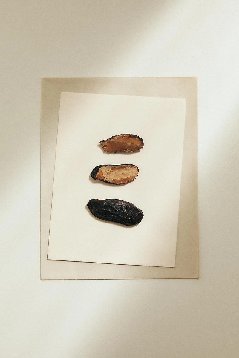 TONKA CREAM EDP 50ML