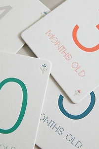 BABY MONTHLY MILESTONE KIT – 12 FLOWER CARDS