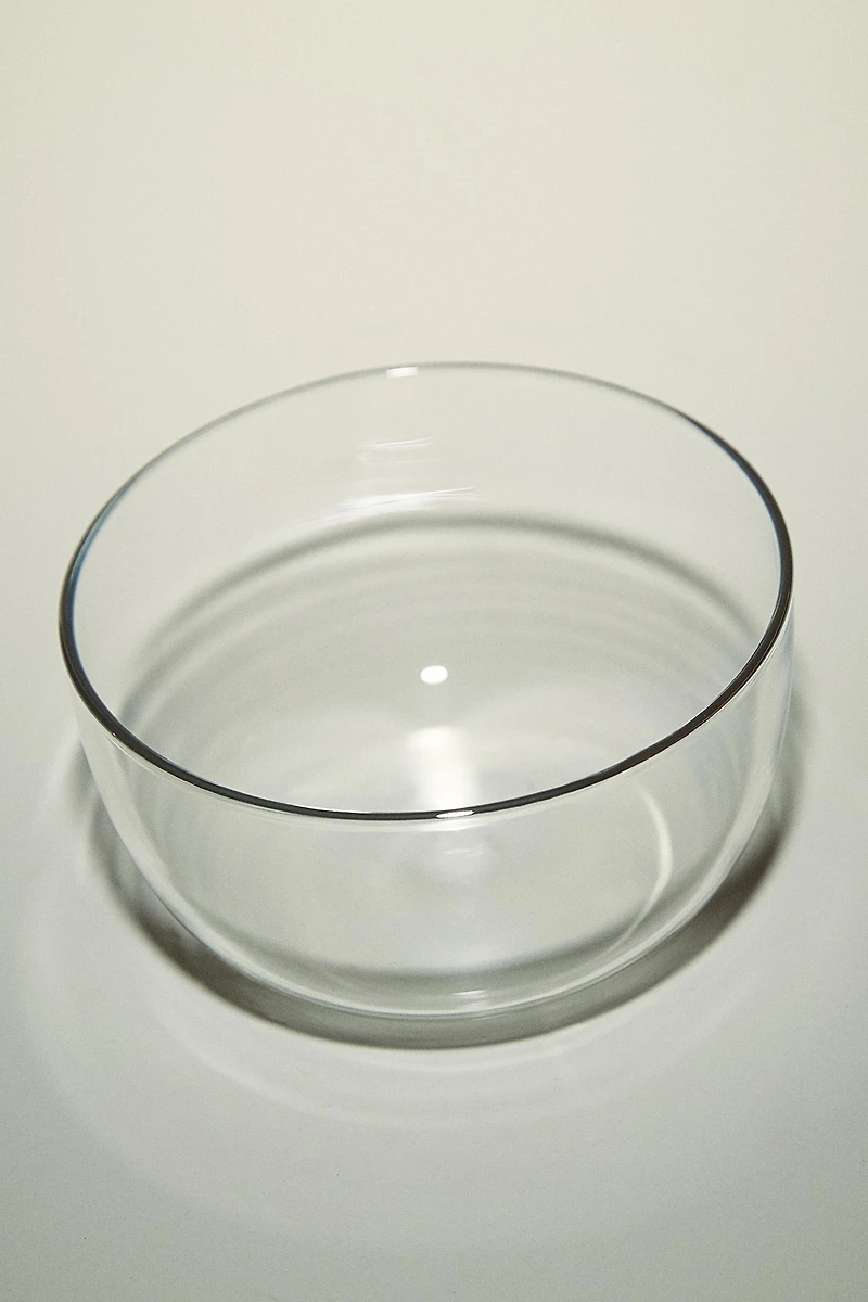 SILVER RIM BOROSILICATE GLASS BOWL