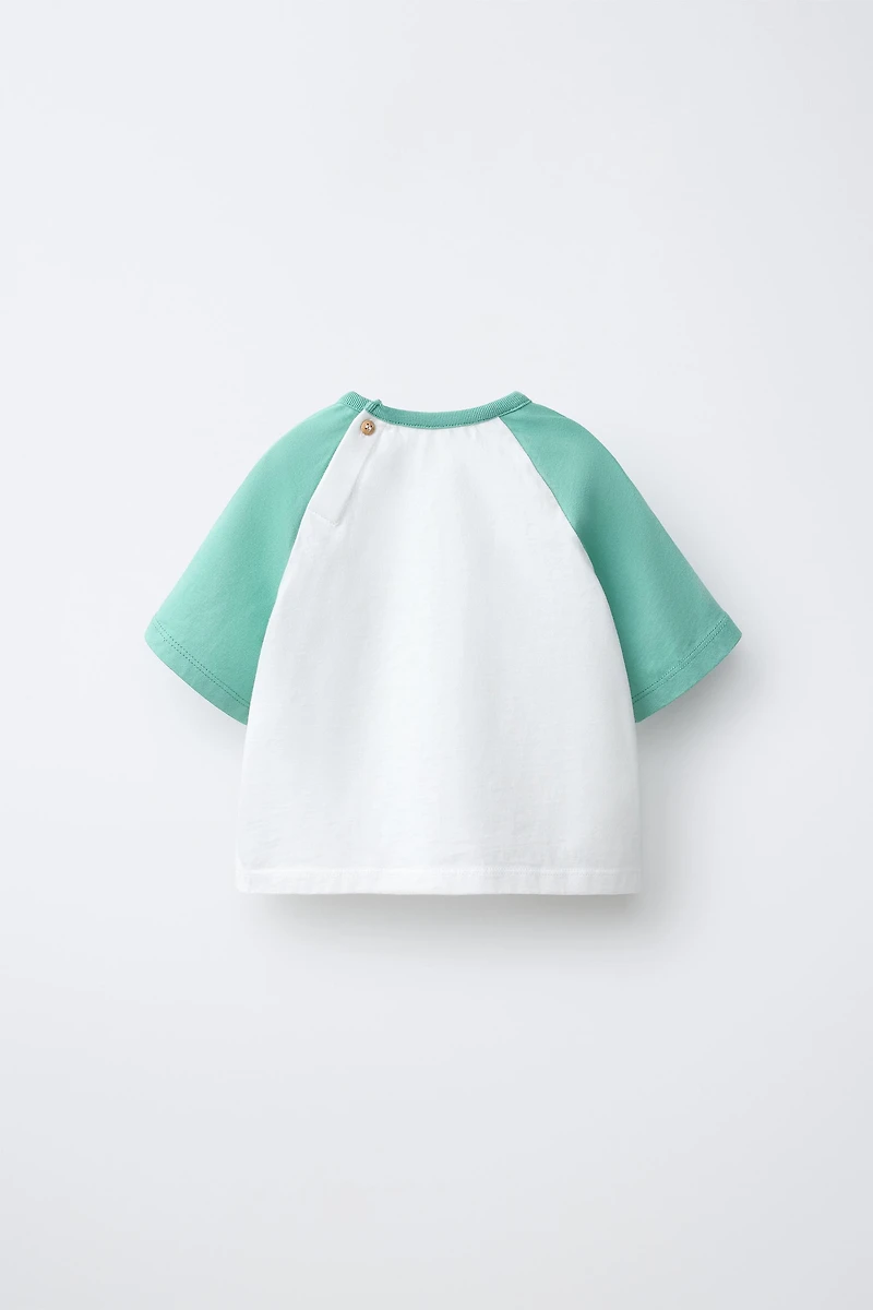 PALM TREE RAGLAN SLEEVE T-SHIRT
