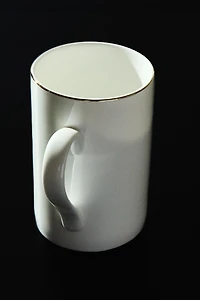 RIMMED BONE CHINA MUG