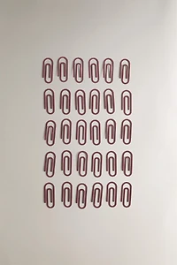 METAL CLIPS (SET OF 30)