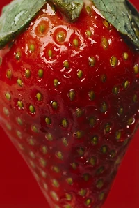 STRAWBERRY DRESS EDT 90ML (3.04 FL. OZ).