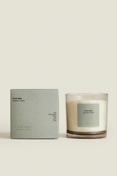 (620 G) BOUGIE PARFUMÉE POETIC MIND