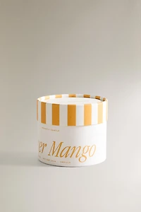 (150 G) VETIVER MANGO SCENTED CANDLE