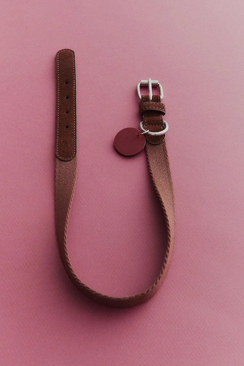 LEATHER PET COLLAR