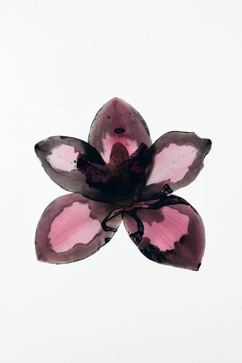 VIOLET BLOSSOM & GARDENIA EDP 2X90ML (3.0 FL. OZ).