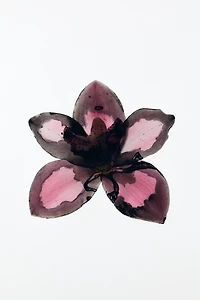 VIOLET BLOSSOM & GARDENIA EDP 2X90ML (3.0 FL. OZ).
