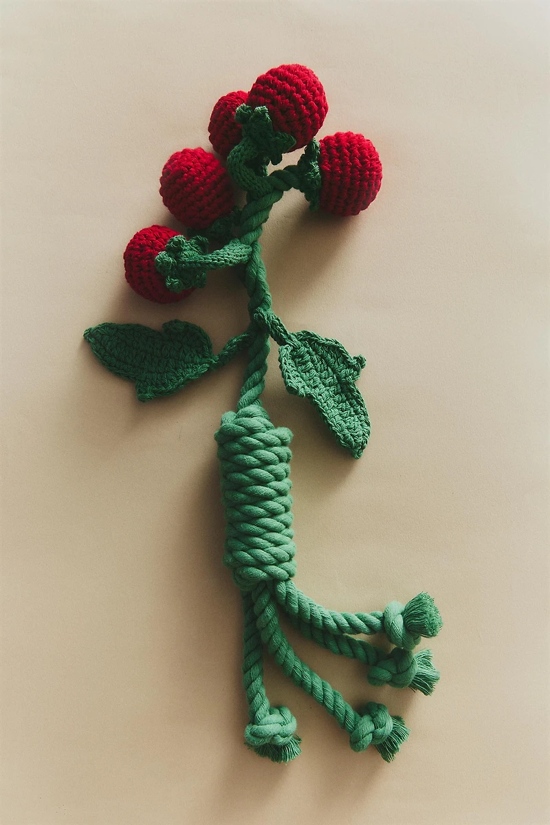 TOMATO BOUQUET PET TOY