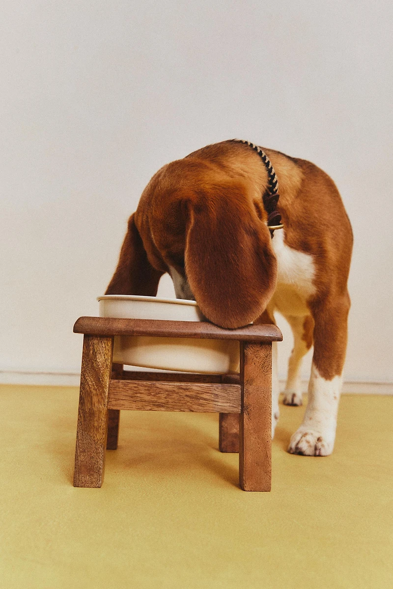 GAMELLE SUPPORT ANIMAL DE COMPAGNIE