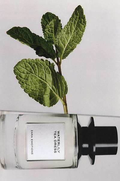 WATERLILY TEA DRESS EDP 100 ML (3,4 FL. OZ).
