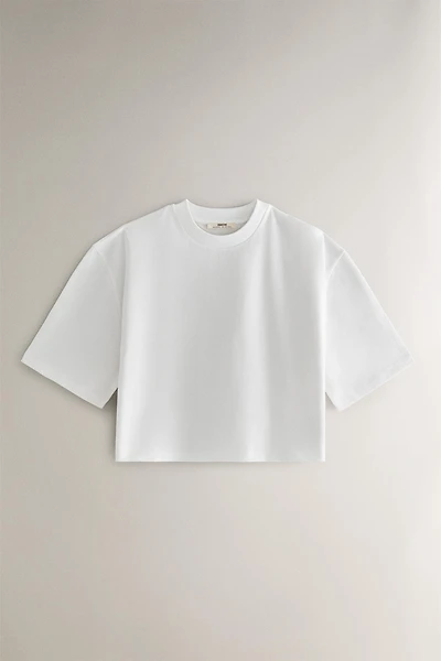 SHORT SLEEVE COTTON T-SHIRT