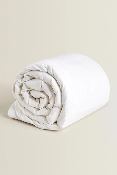 FEATHER AND DOWN DUVET (300 GXM²)