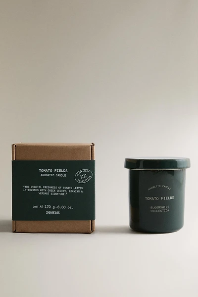 (170 G) TOMATO FIELDS SCENTED CANDLE