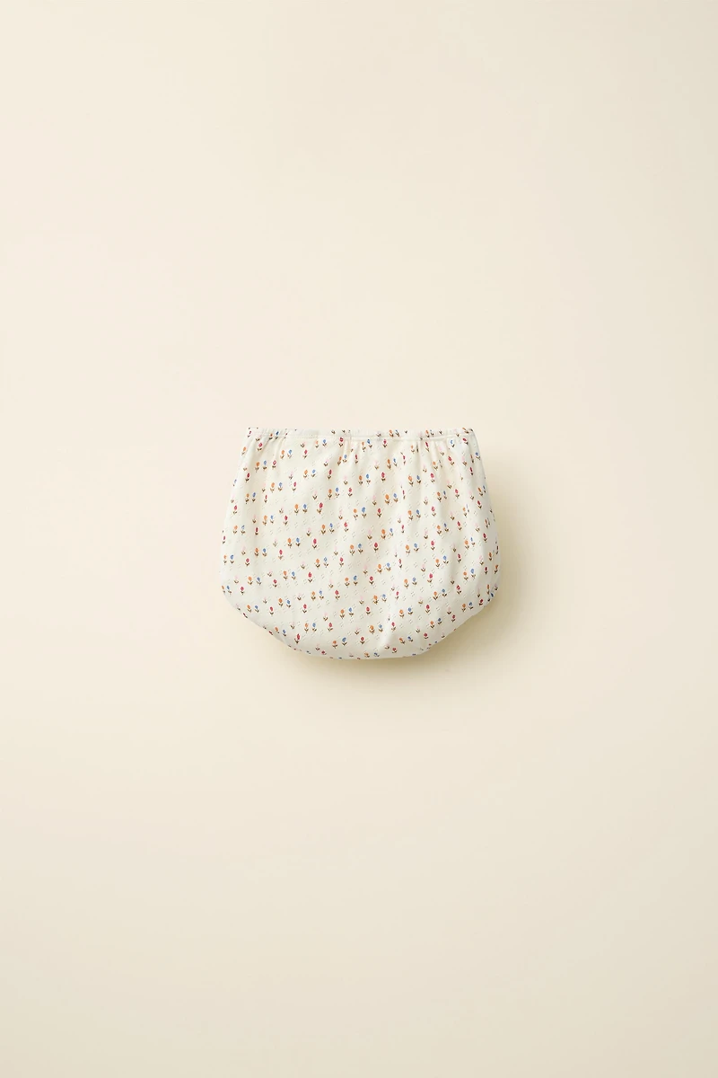 TULIP POINTELLE BLOOMERS CREATED BY CARAMEL LONDON X ZARA