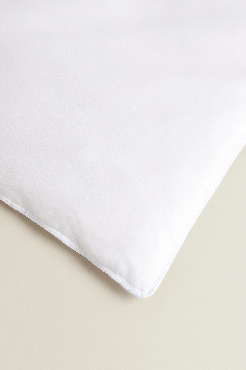 FEATHER AND DOWN DUVET (300 GXM²)