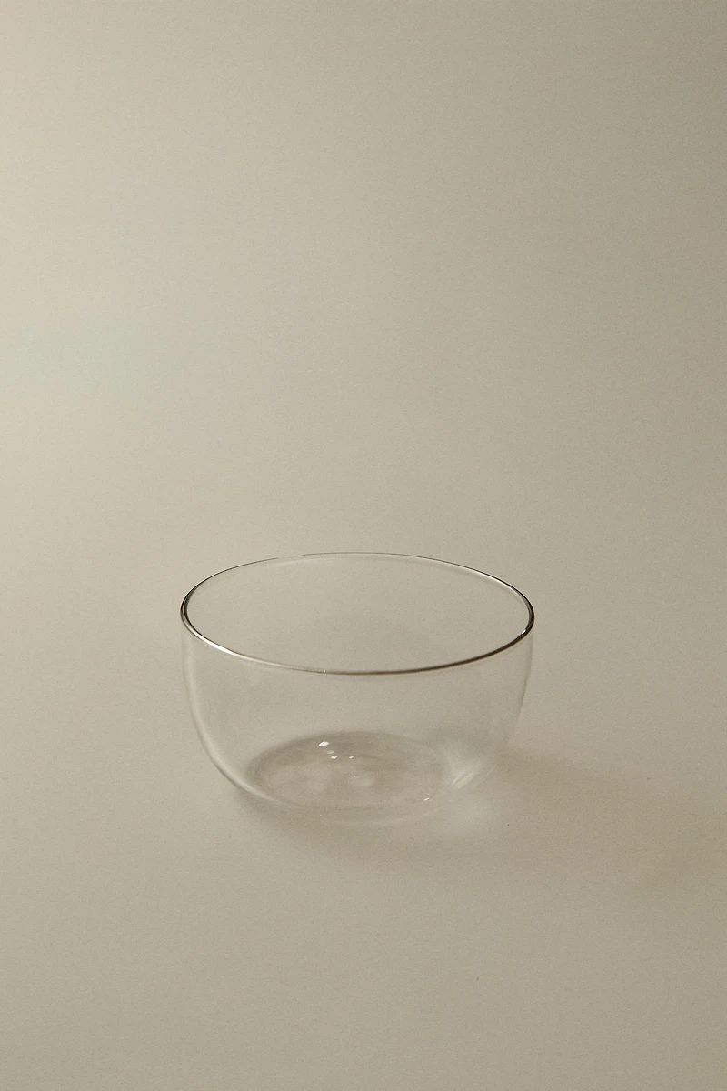SILVER RIM BOROSILICATE GLASS BOWL