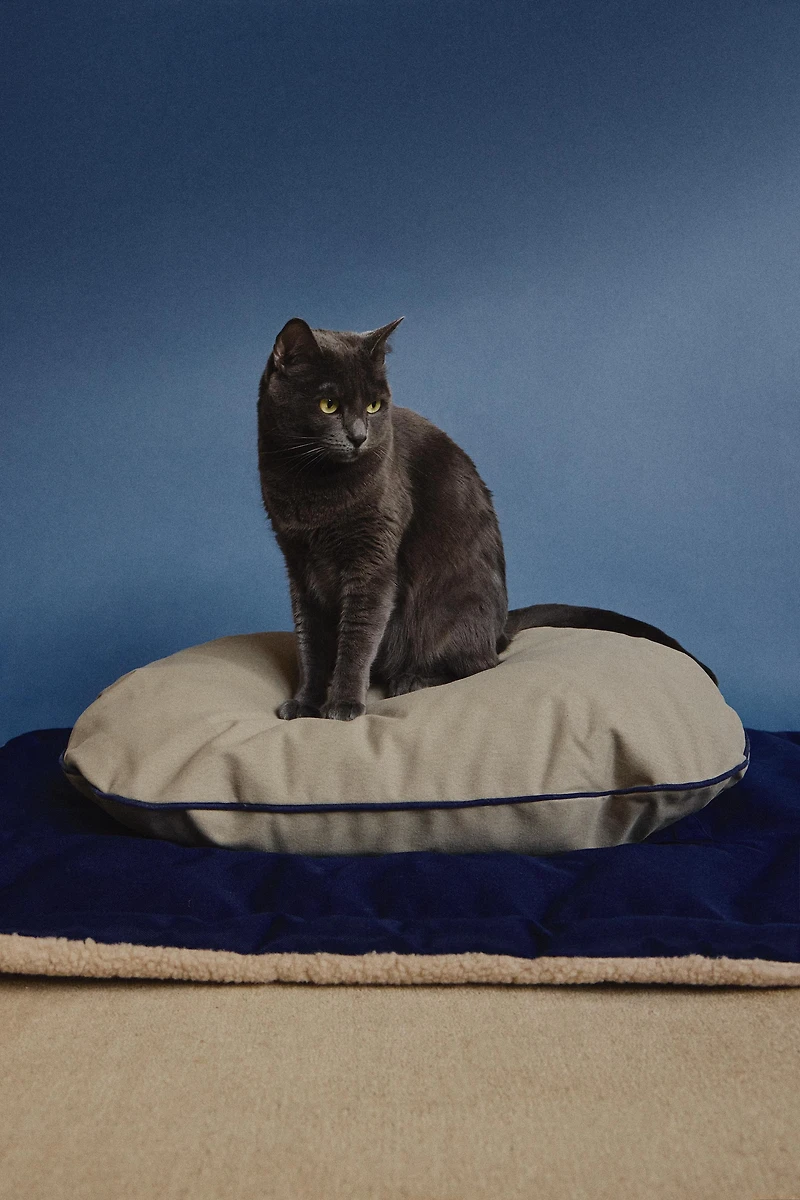 OVAL PET CUSHION