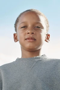 PLAIN EMBROIDERED FOX SWEATSHIRT LIMITED EDITION