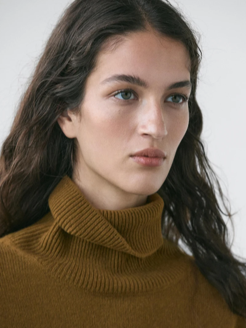Wool blend high neck sweater