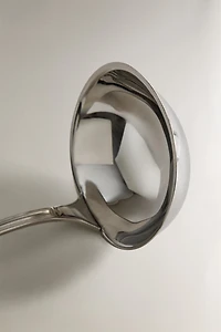 SHINY STEEL LADLE
