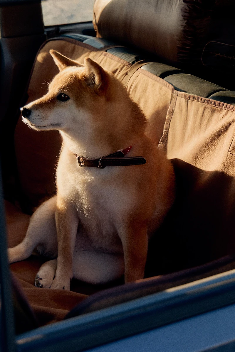 PET CAR BLANKET