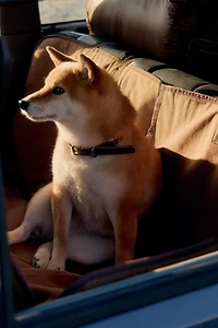 PET CAR BLANKET