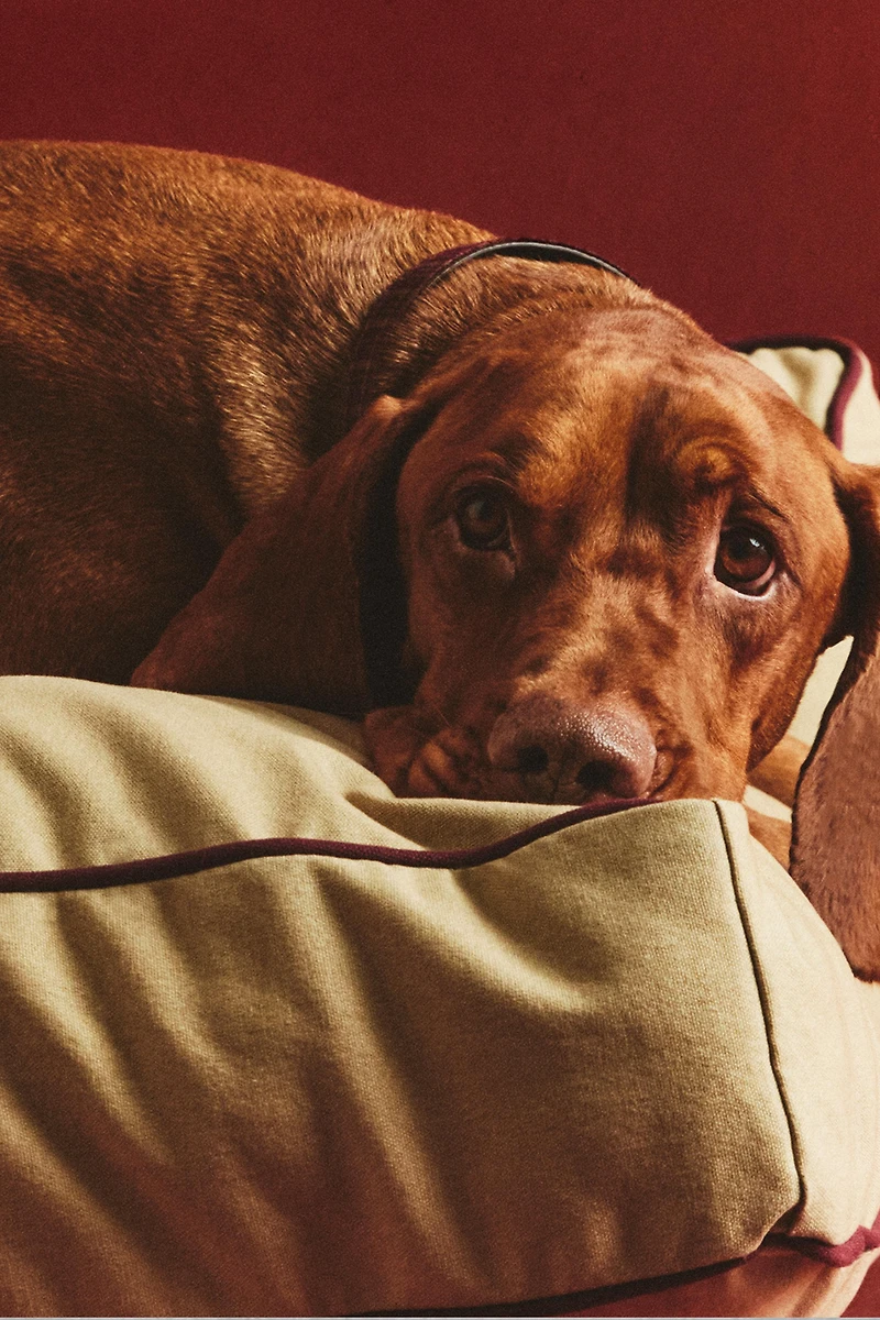 COUSSIN SOL XL PASSEPOIL ANIMAUX DE COMPAGNIE