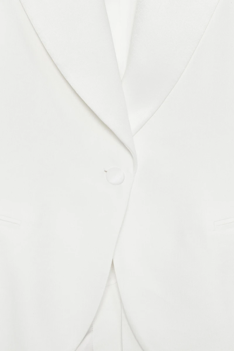 ZW COLLECTION LINEN BLEND TUXEDO BLAZER