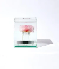 NICK KNIGHT FLOWER VASE