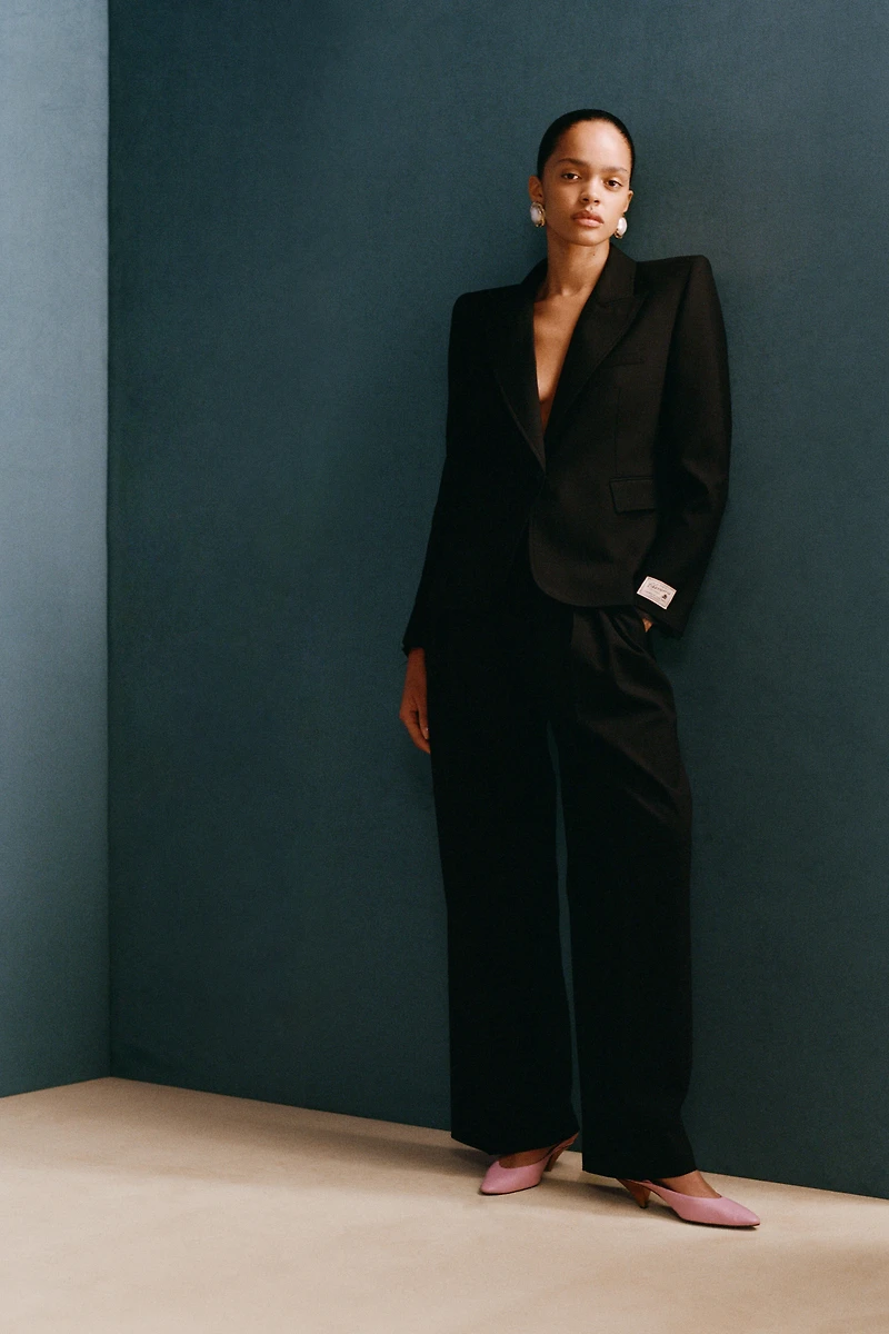 WOOL PLEATED PANTS WILLY CHAVARRIA X ZARA
