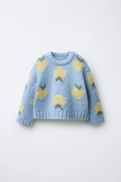 FRUIT PRINT WOOL BLEND KNIT SWEATER