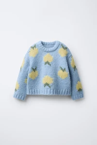 FRUIT PRINT WOOL BLEND KNIT SWEATER