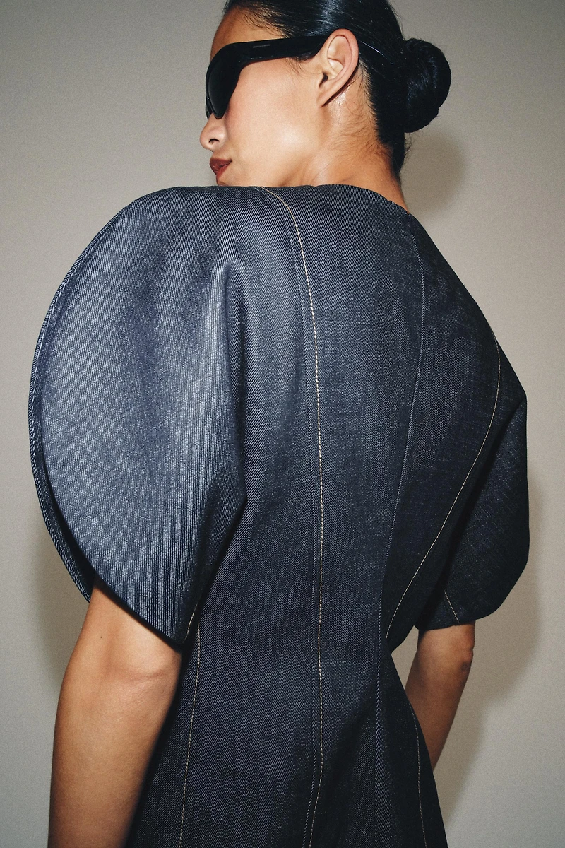 ZW COLLECTION DENIM DRESS