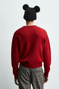 MONTY WOOL JUMPER HARRY LAMBERT FOR ZARA X DISNEY