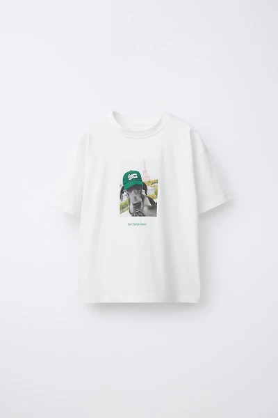 T-SHIRT IMPRIMÉ CHIEN
