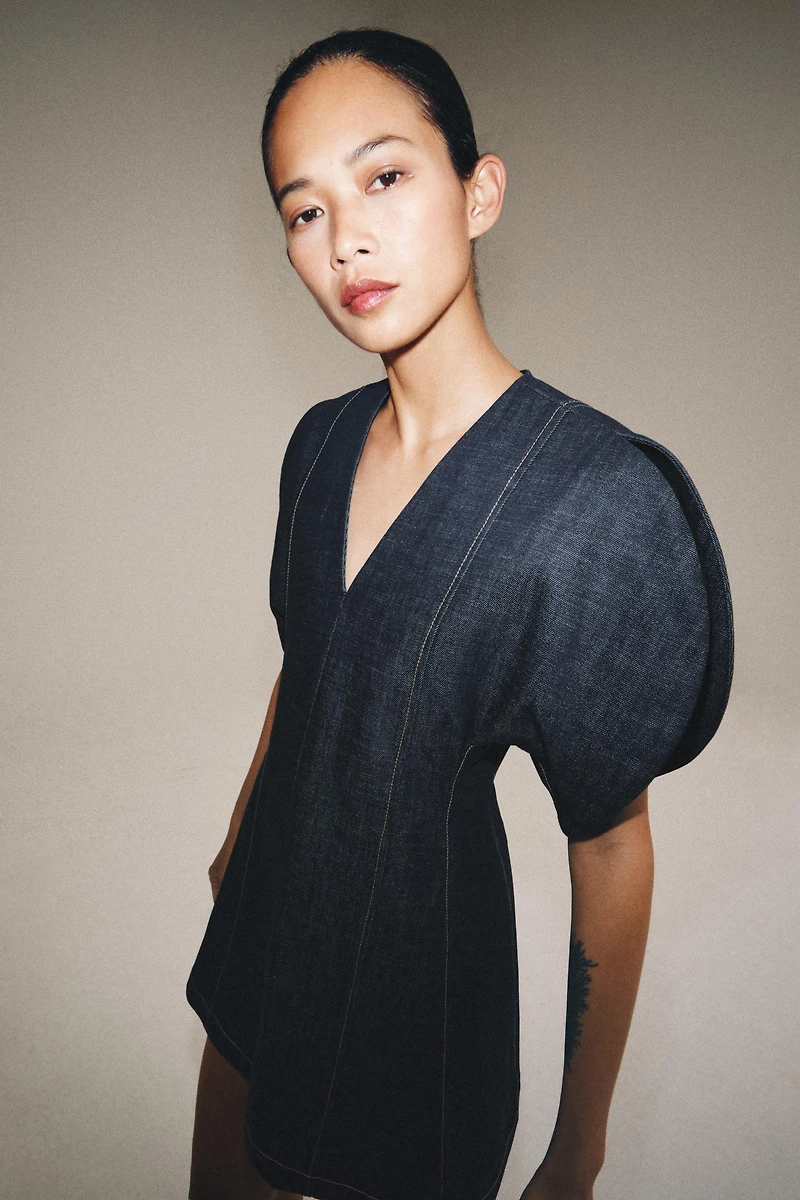 ZW COLLECTION DENIM DRESS