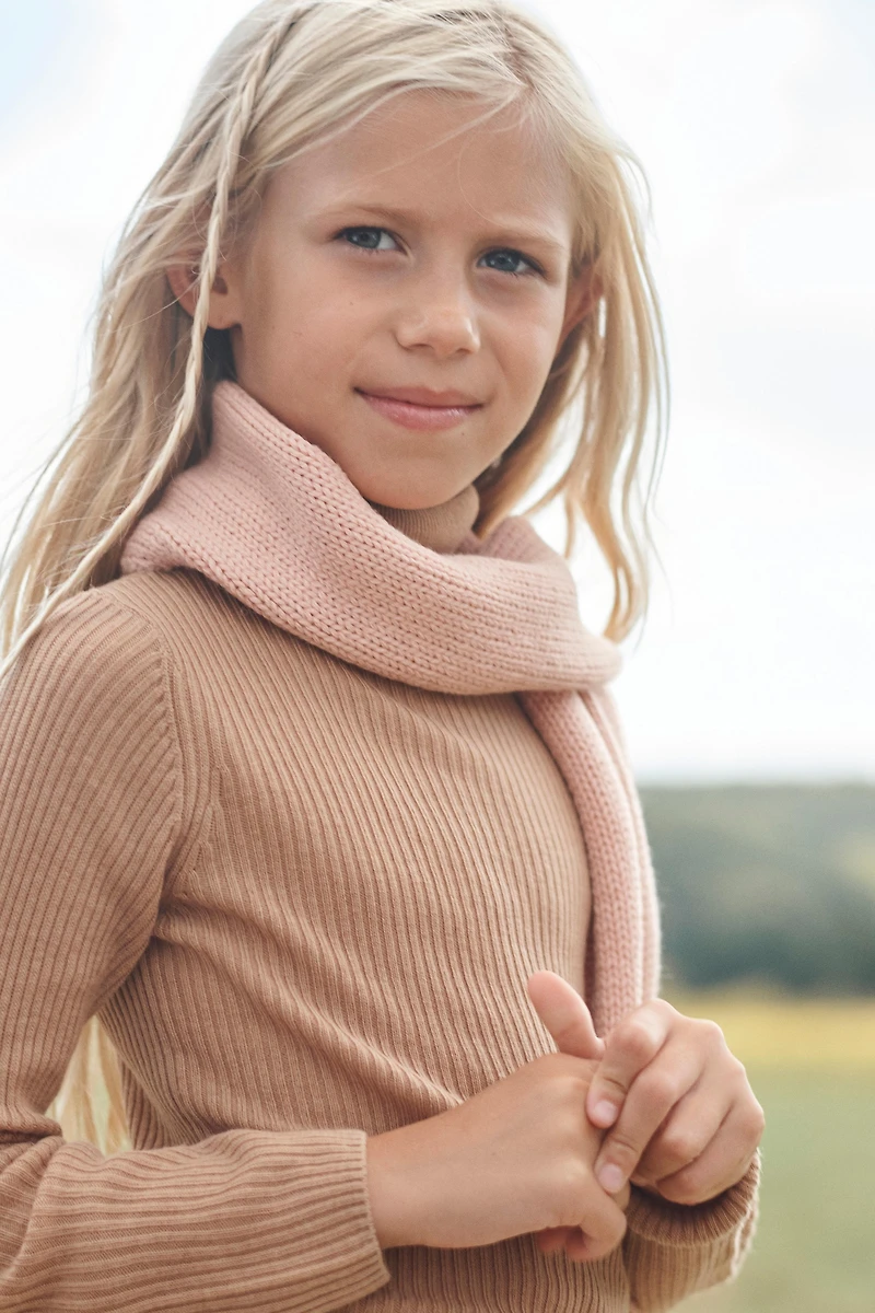 PULL COL ROULÉ 100 % LAINE ÉDITION LIMITÉE