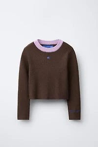 CHAMPION ® X ZARA CONTRAST COLLAR RIBBED SWEATER