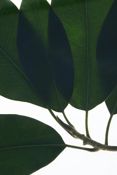 FEMME EDT & NUIT EDP 2X90ML (3.0 FL. OZ).