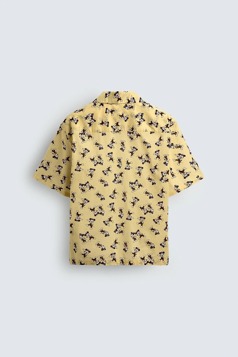 MORTY + FERDY SHIRT HARRY LAMBERT FOR ZARA X DISNEY