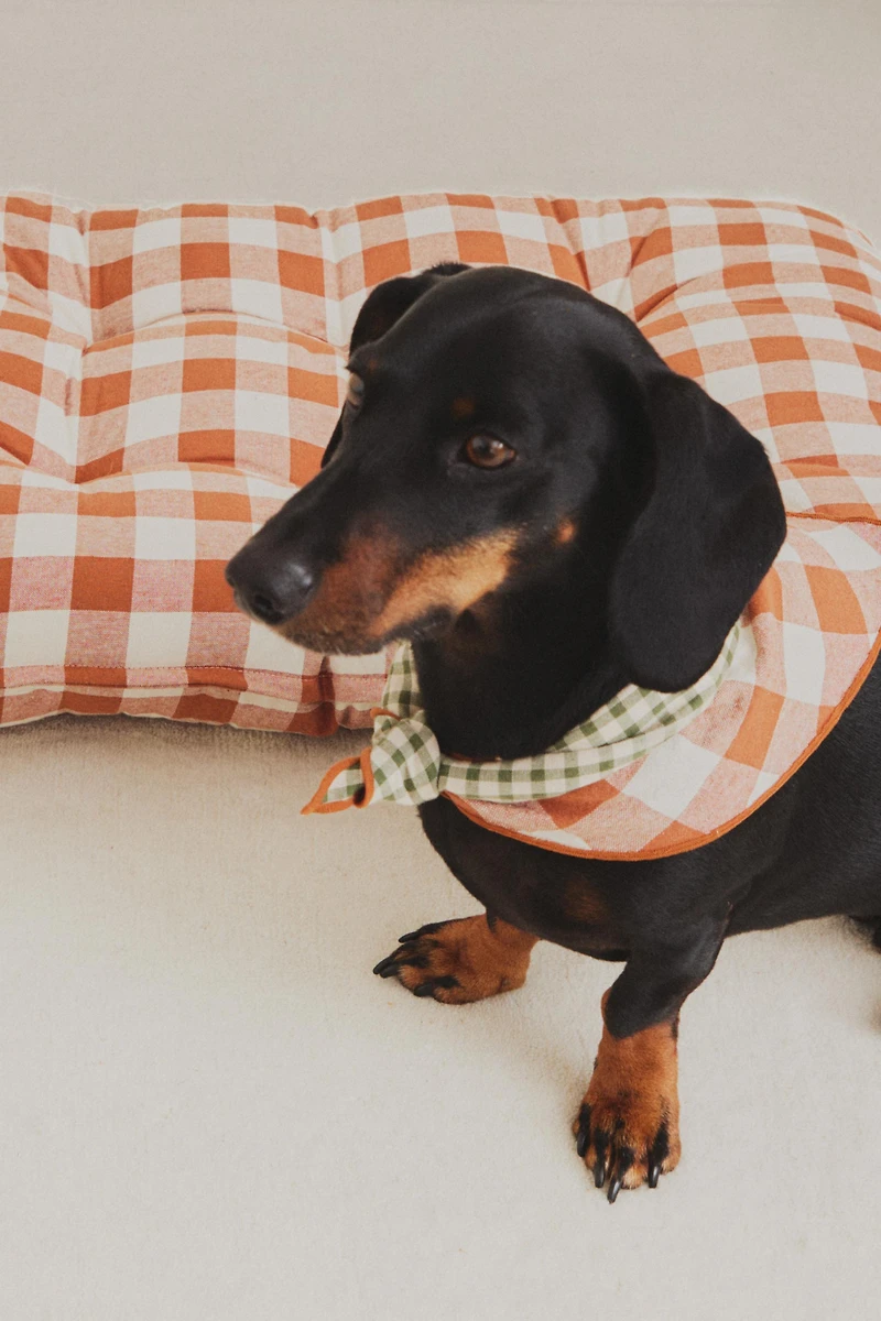 GINGHAM PET TOPPER