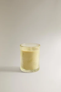 (155 G) BOUGIE PARFUMÉE VETIVER MELON