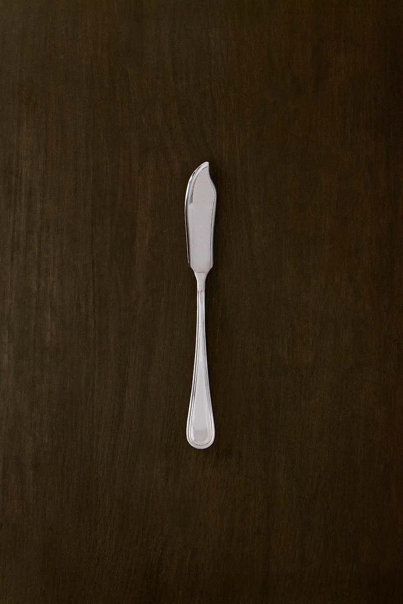 SHINY STEEL FISH KNIFE