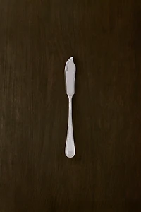 SHINY STEEL FISH KNIFE