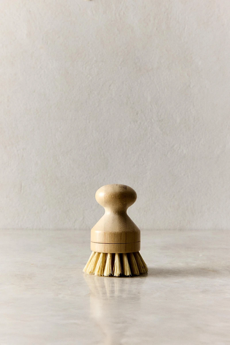 SMALL BRUSH WITH INTERCHANGEABLE BRISTLES
