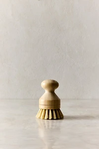 SMALL BRUSH WITH INTERCHANGEABLE BRISTLES