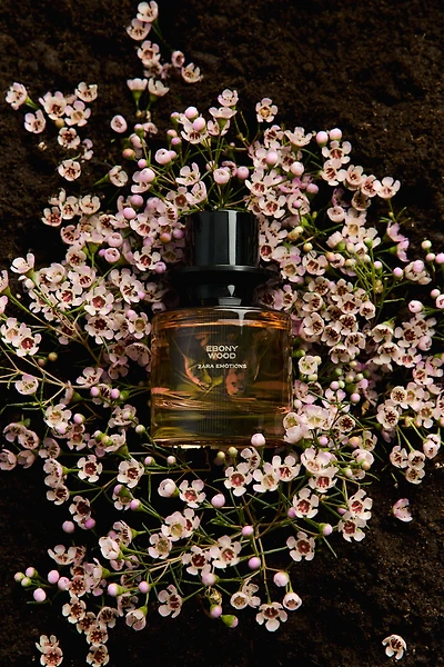 EBONY WOOD LIMITED EDITION EDP 60ML (2.3 FL.OZ).