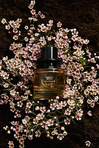 EBONY WOOD LIMITED EDITION EDP 60ML (2.3 FL.OZ).