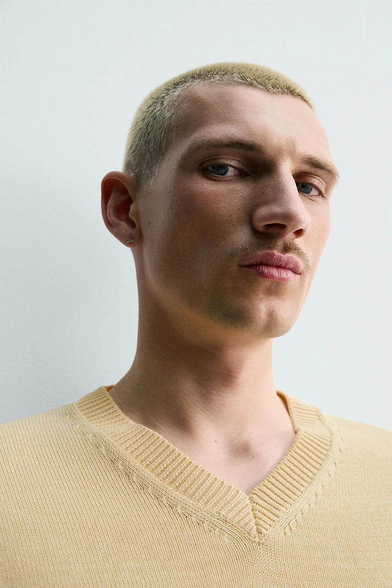 REGULAR-FIT COTTON JUMPER